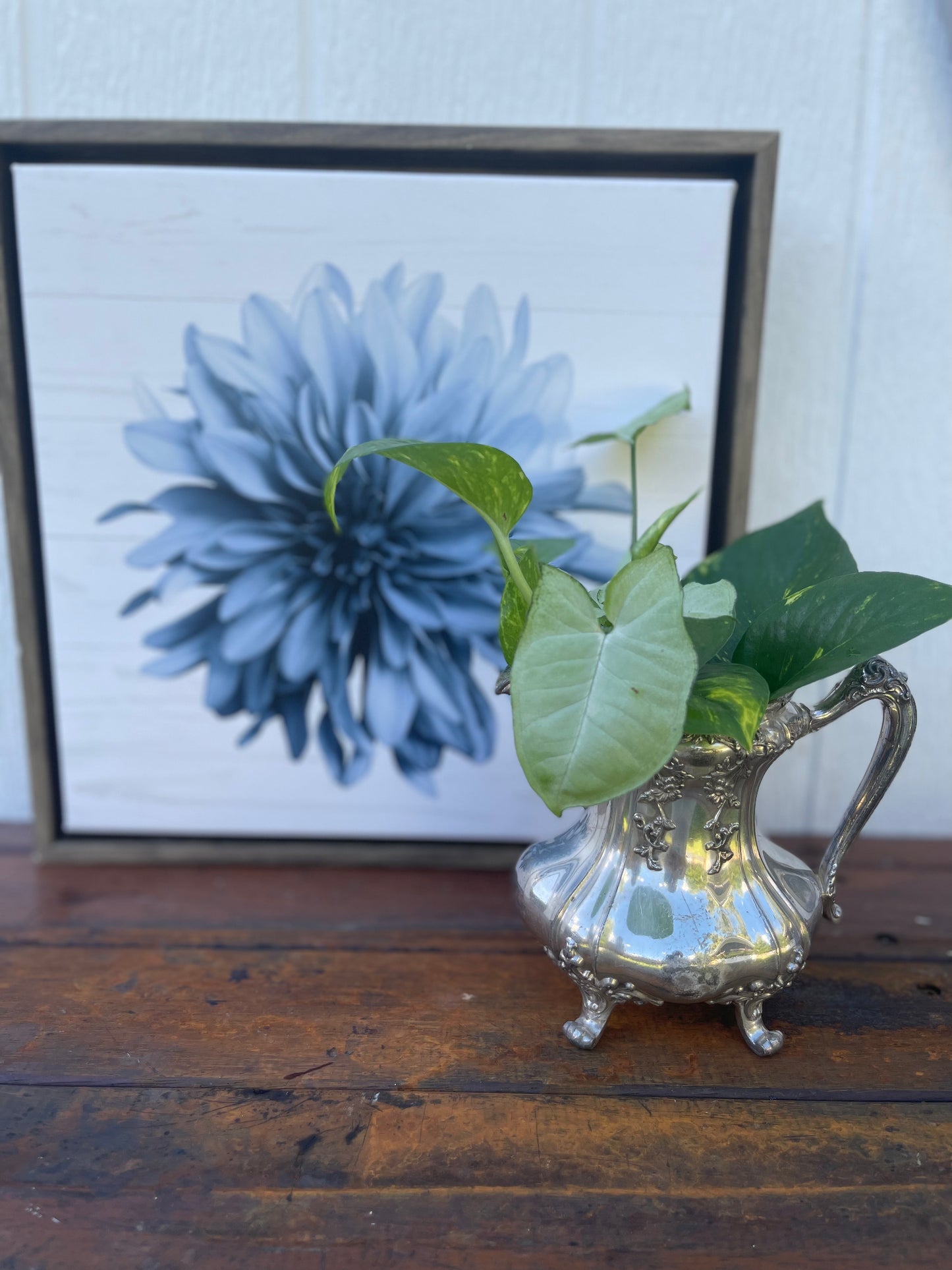 Plant Bouquet in Sterling Silver Jug