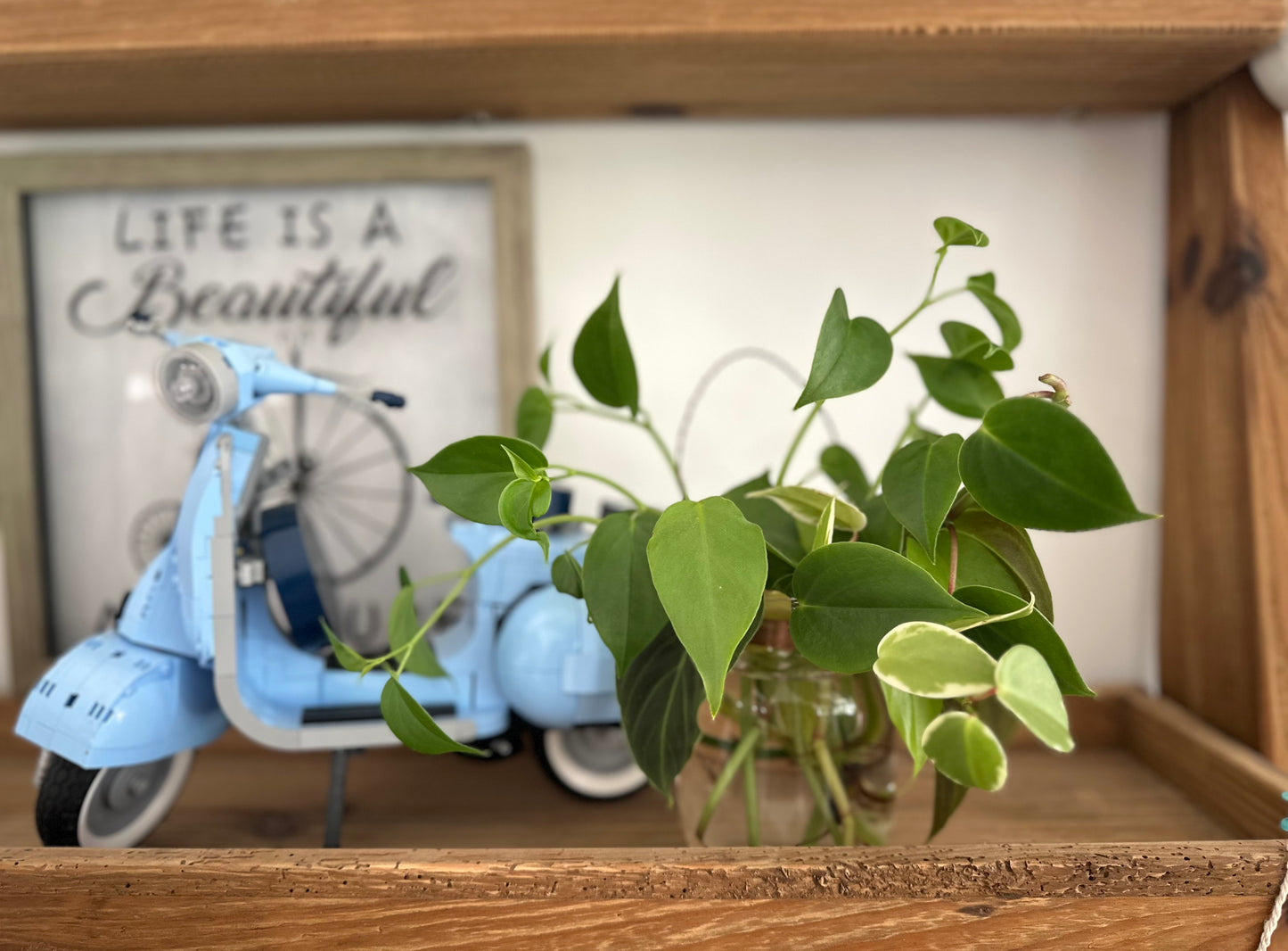 Glass Jar Plant Bouquet