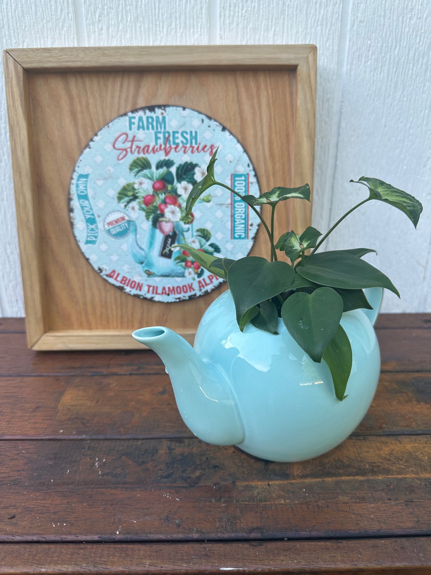 Plant Bouquet in Baby Blue Teapot