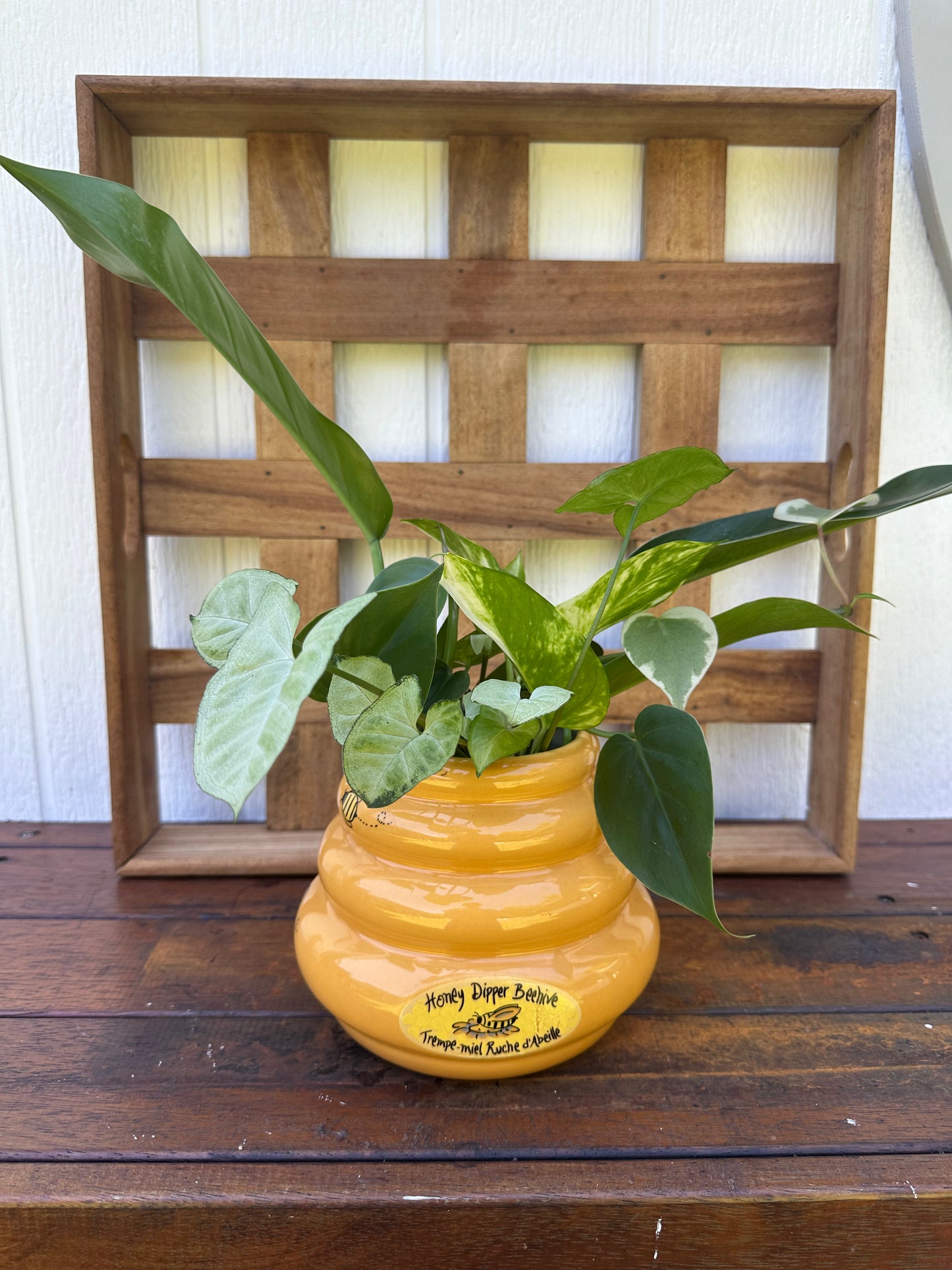 Plant Bouquet in Bee Hive Vase