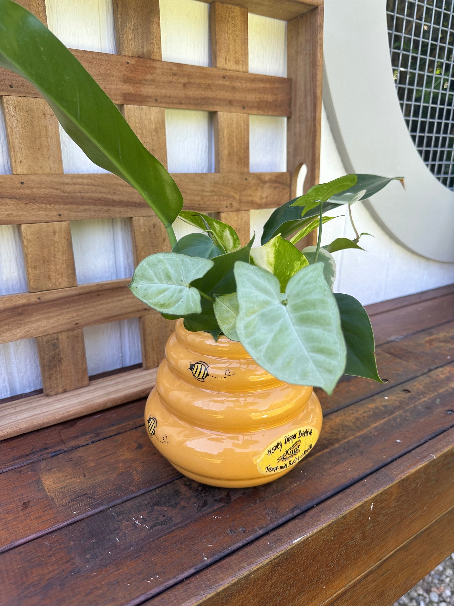 Plant Bouquet in Bee Hive Vase