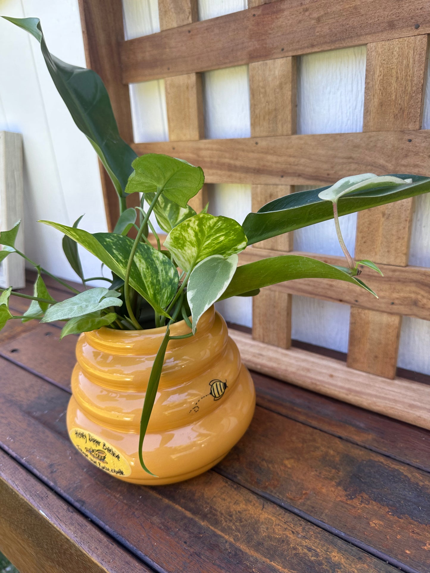 Plant Bouquet in Bee Hive Vase