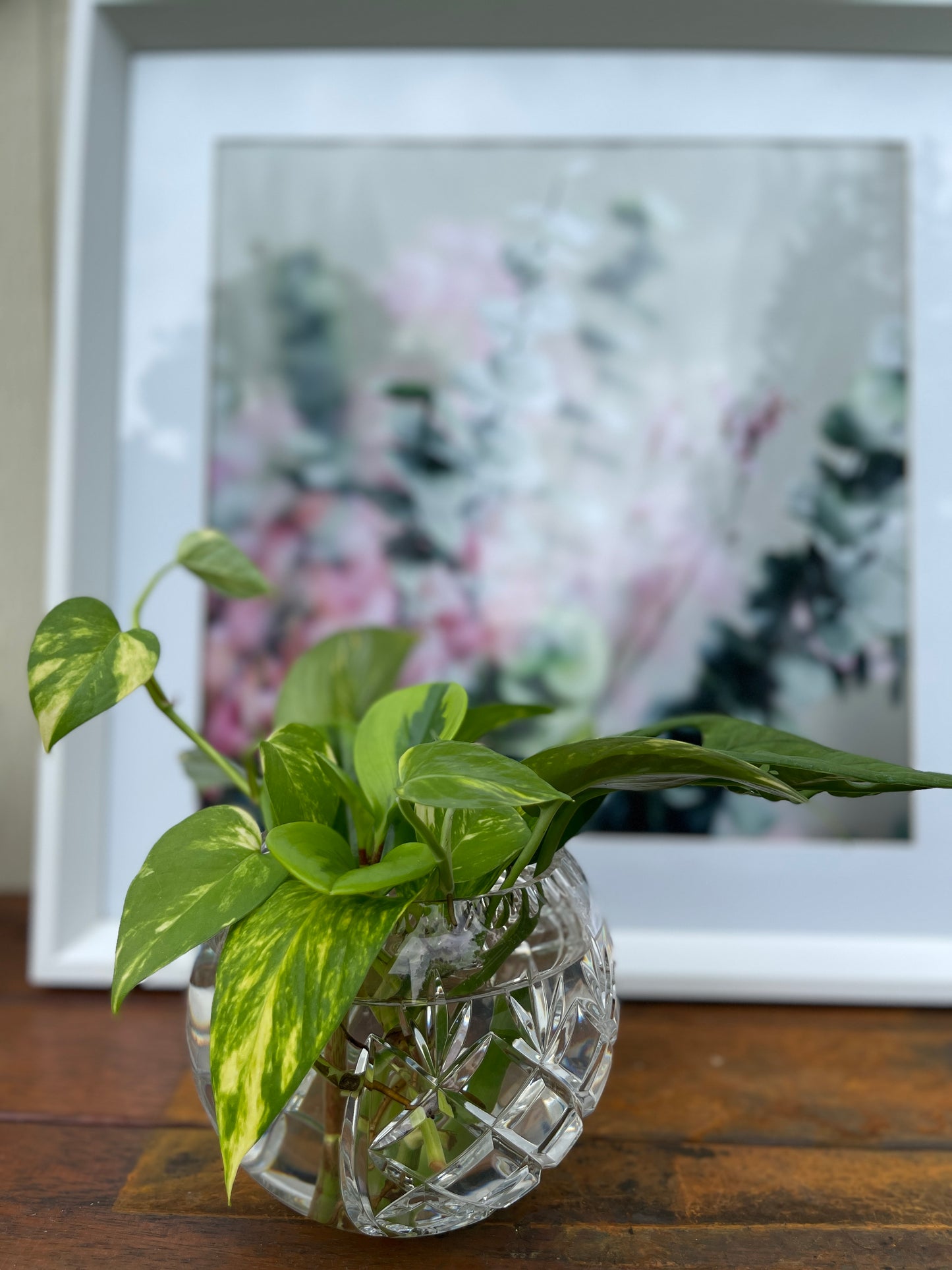 Plant Bouquet in Crystal Vase