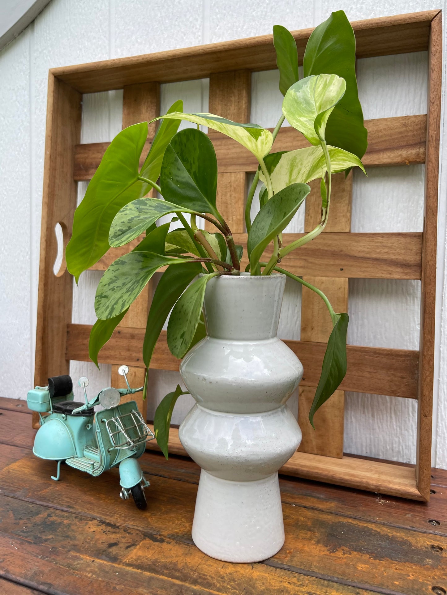 Plant Bouquet in Beige Ceramic Vase