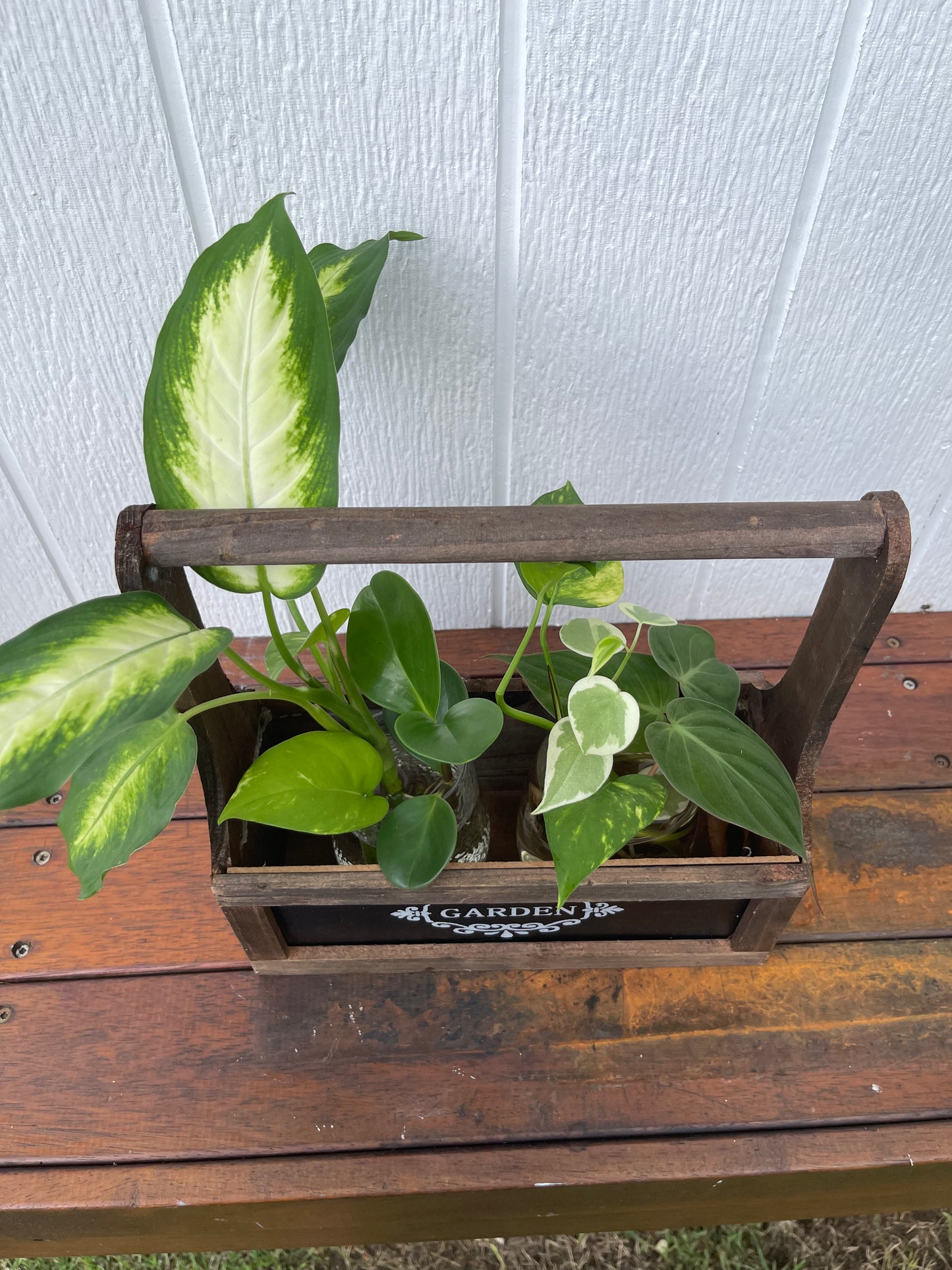 Plant Bouquets in a Wooden Vessel