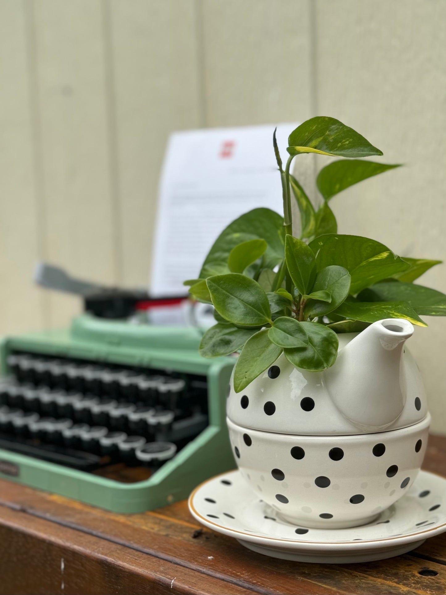 Teapot Plant Bouquet