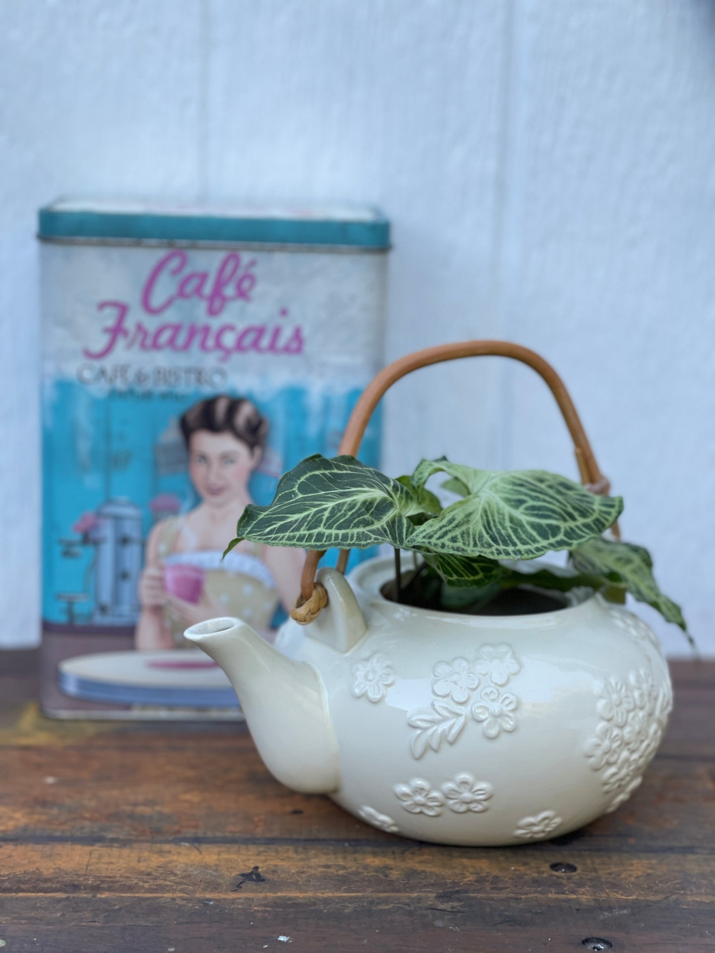 Plant Bouquet in White Ceramic Teapot with Wooden Handle