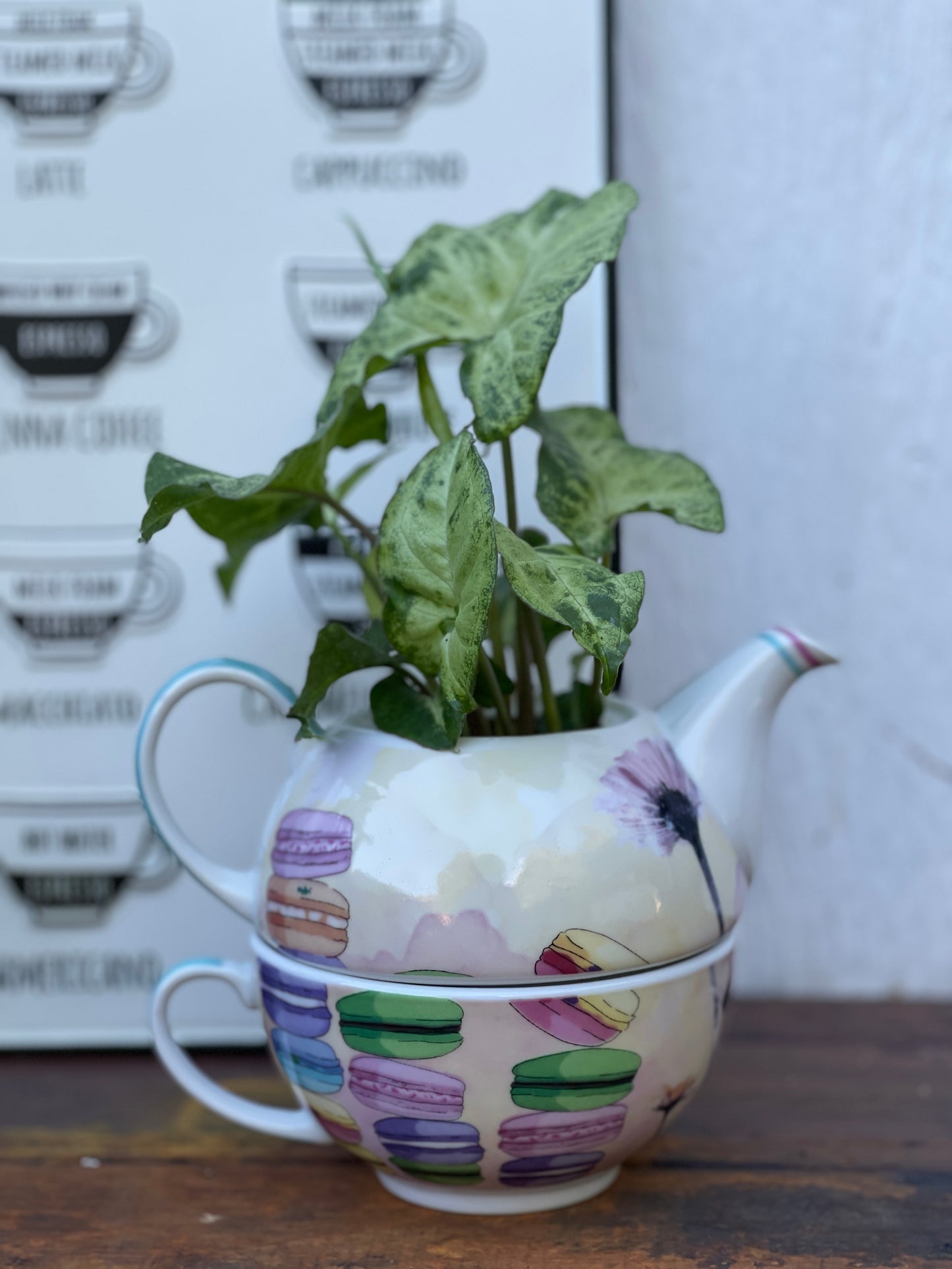 Plant Bouquet in White Ceramic Teapot with Macaroon and flower design