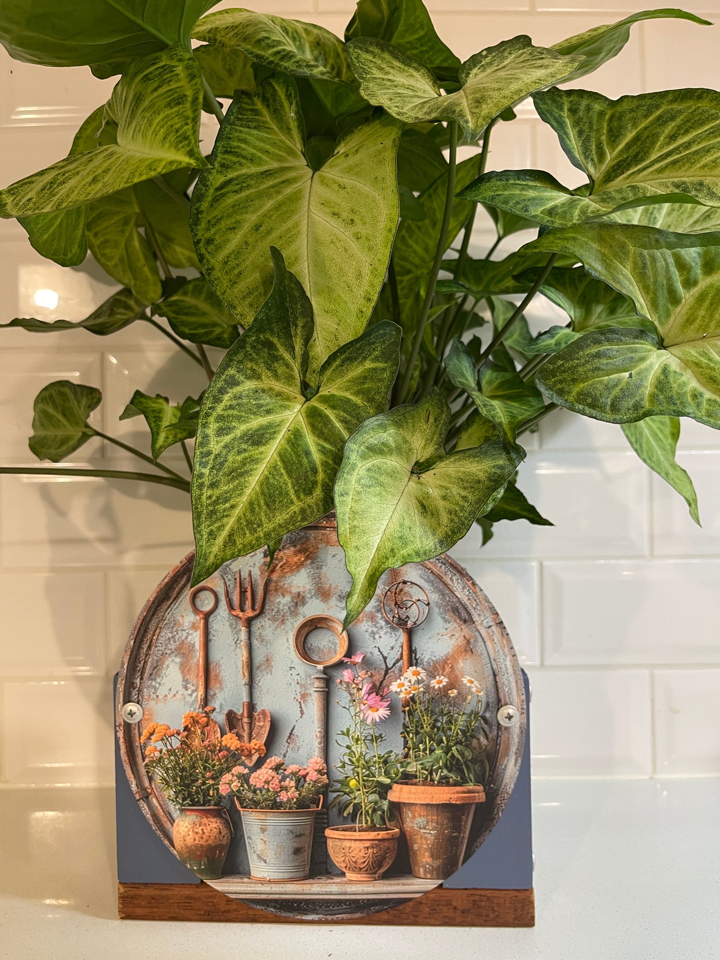 Pot Plants Tin Decorative Planter Box