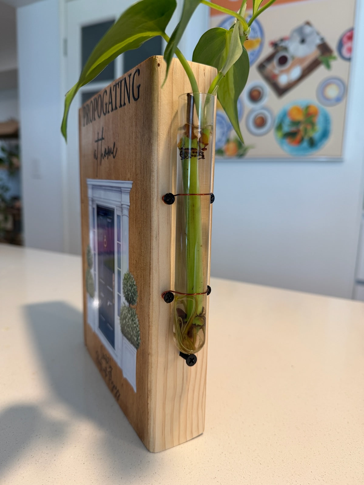 Propagating at Home