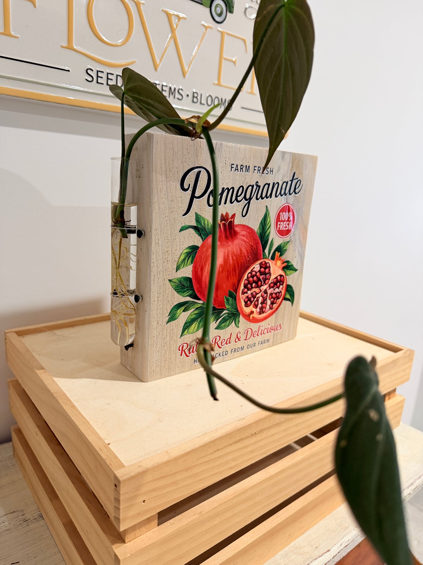 Farm Fresh Pomegranate