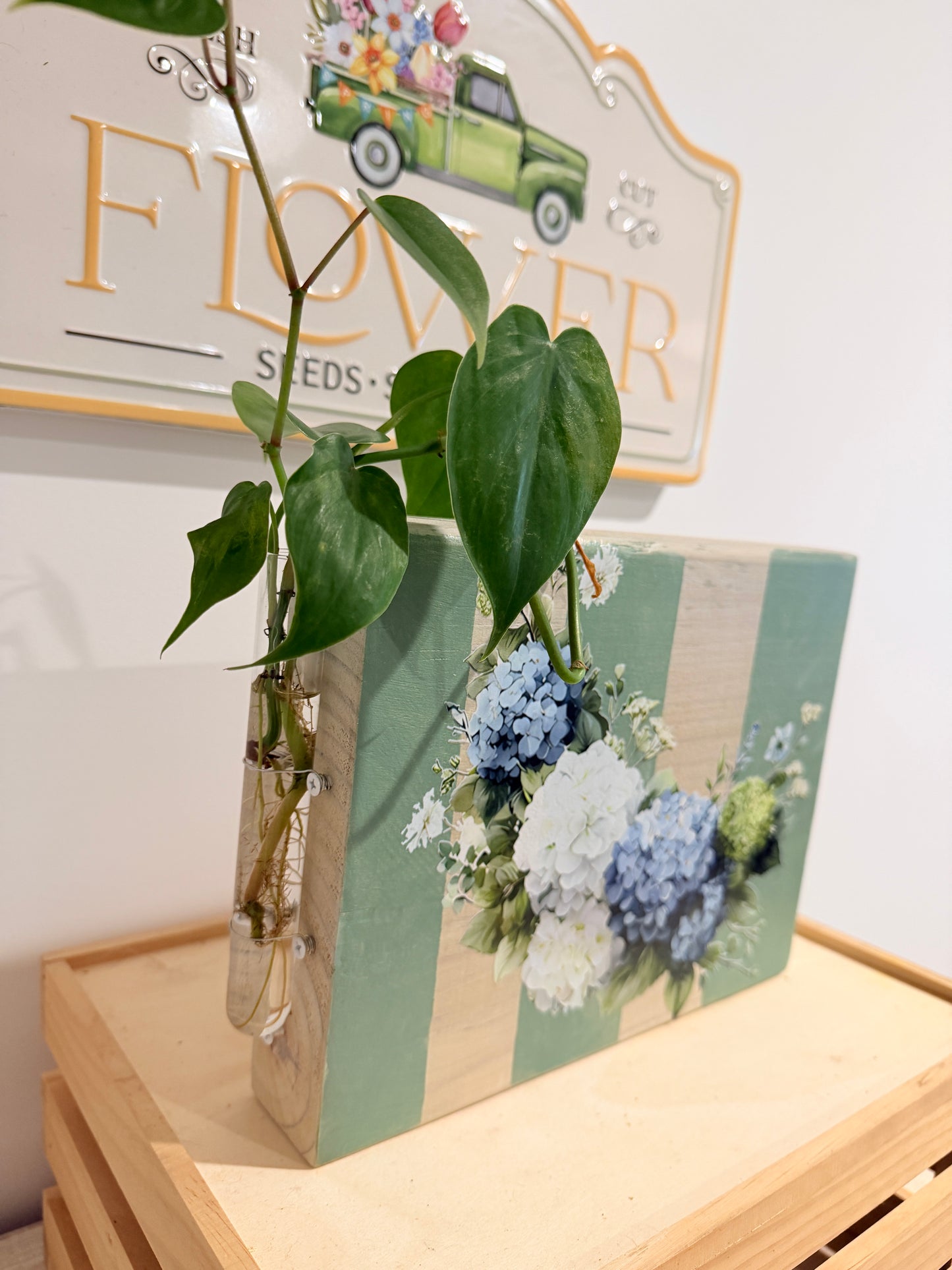 Bouquet of Hydrangeas
