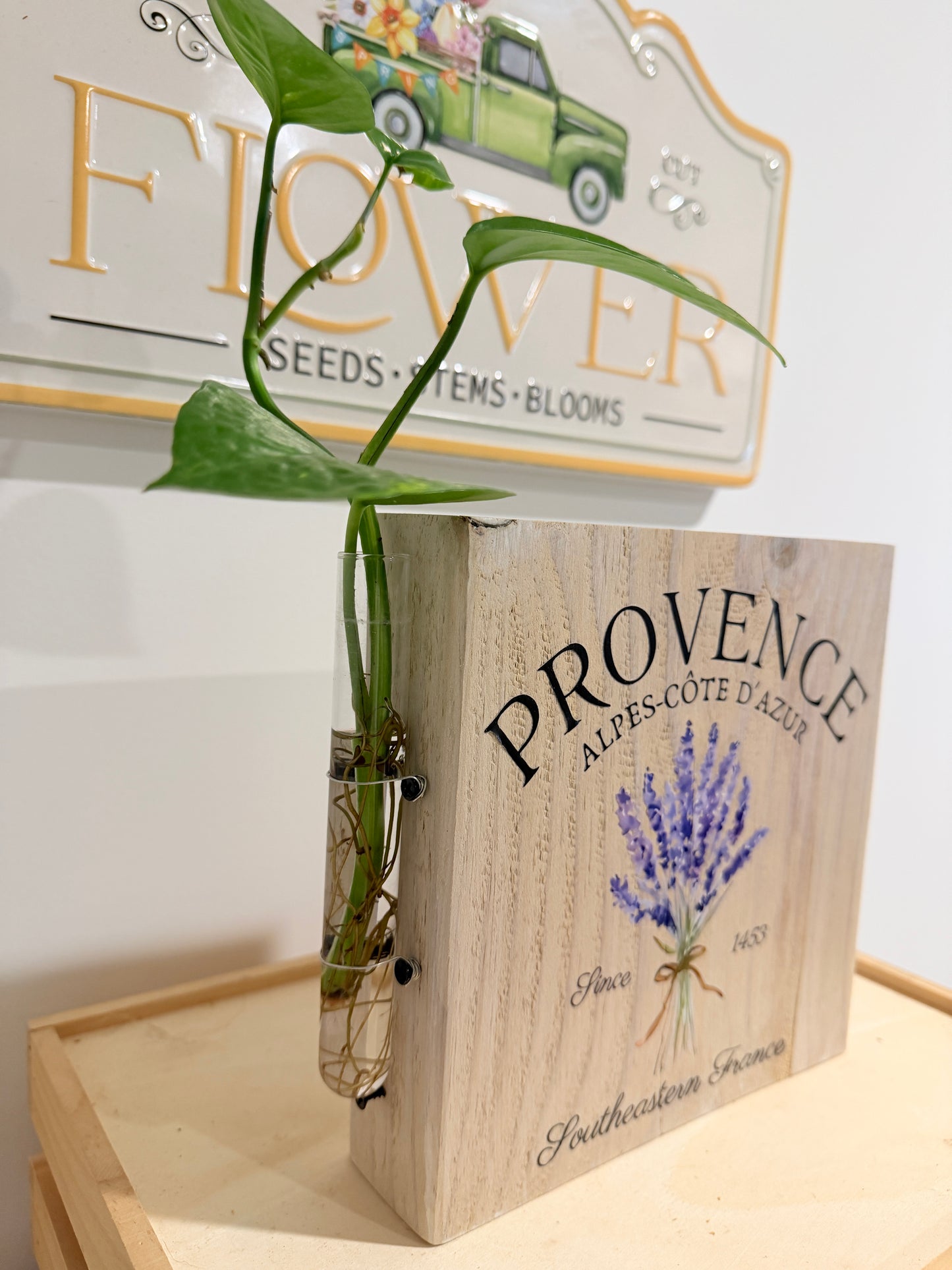 Provence with a lavender bouquet