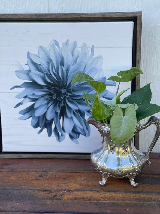 Plant Bouquet in Sterling Silver Jug