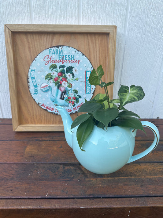 Plant Bouquet in Baby Blue Teapot