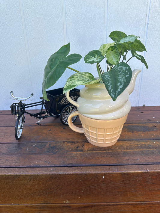 Plant Bouquet in Ice Cream Cone Teapot