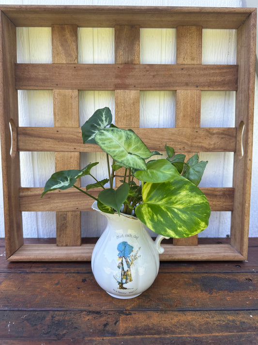 Plant Bouquet in White Vintage Jug