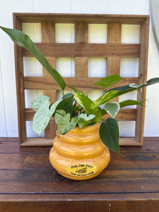 Plant Bouquet in Bee Hive Vase