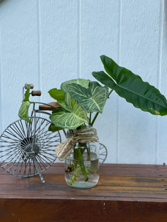 Plant Bouquet with Glass Jar and Rattan Covering