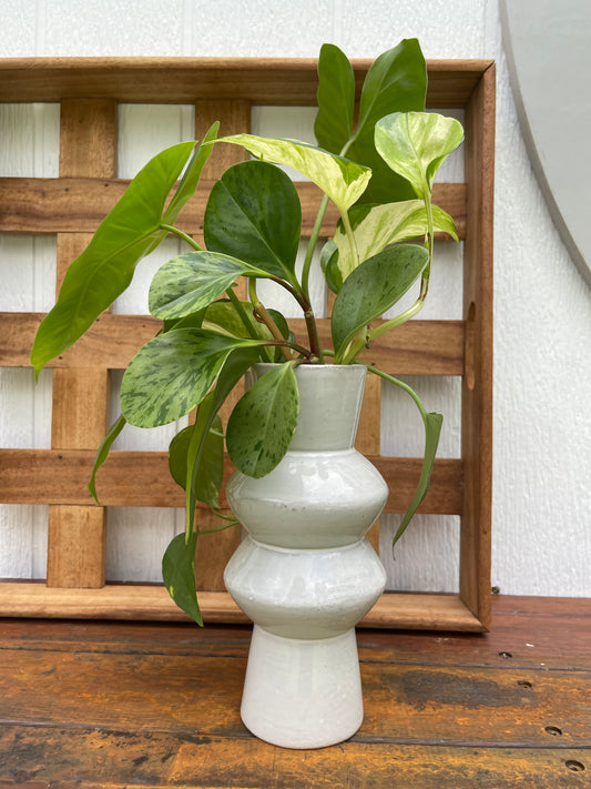 Plant Bouquet in Beige Ceramic Vase