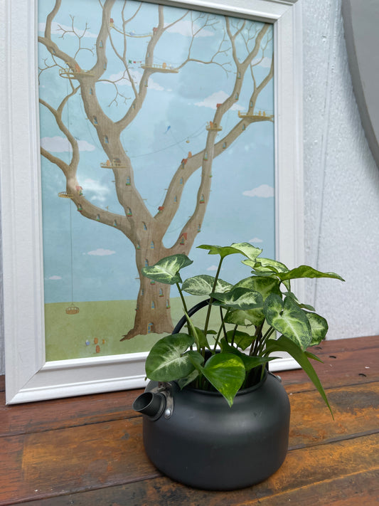 Plant Bouquet in Dark Grey Kettle