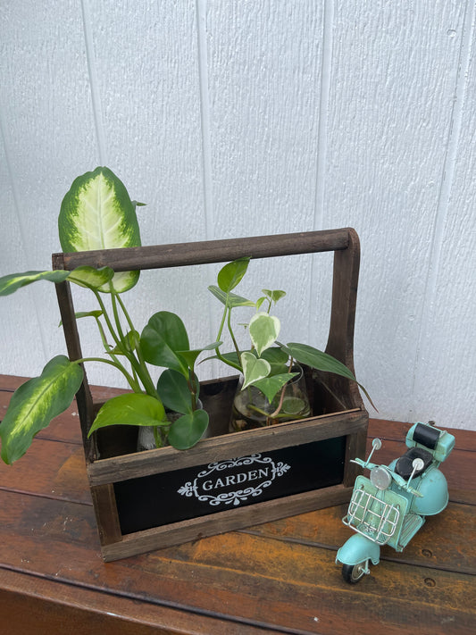Plant Bouquets in a Wooden Vessel