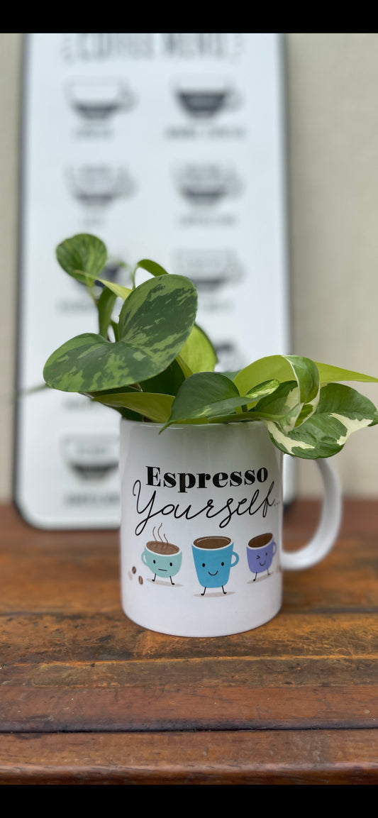 Plant Bouquet in a Cute Mug