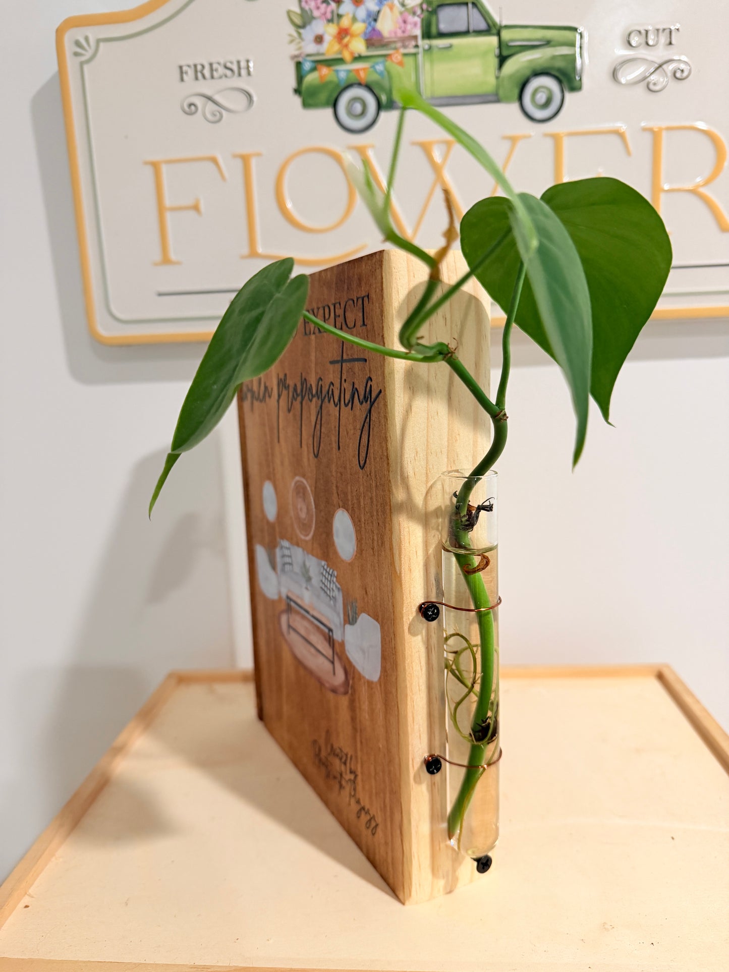 What To Expect When Propagating