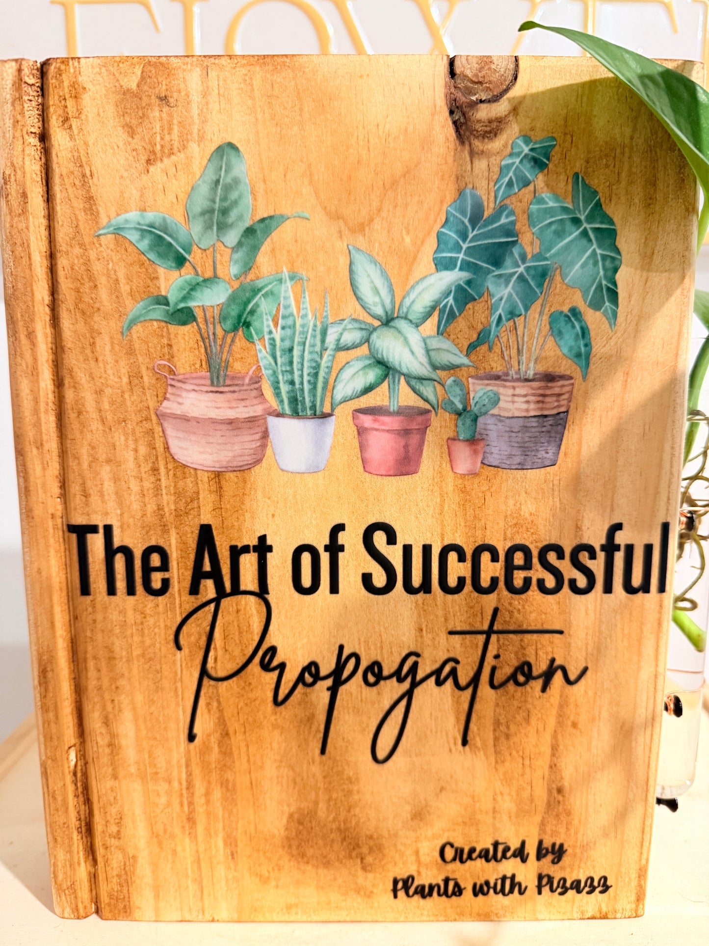 The Art Of Successful Propagation