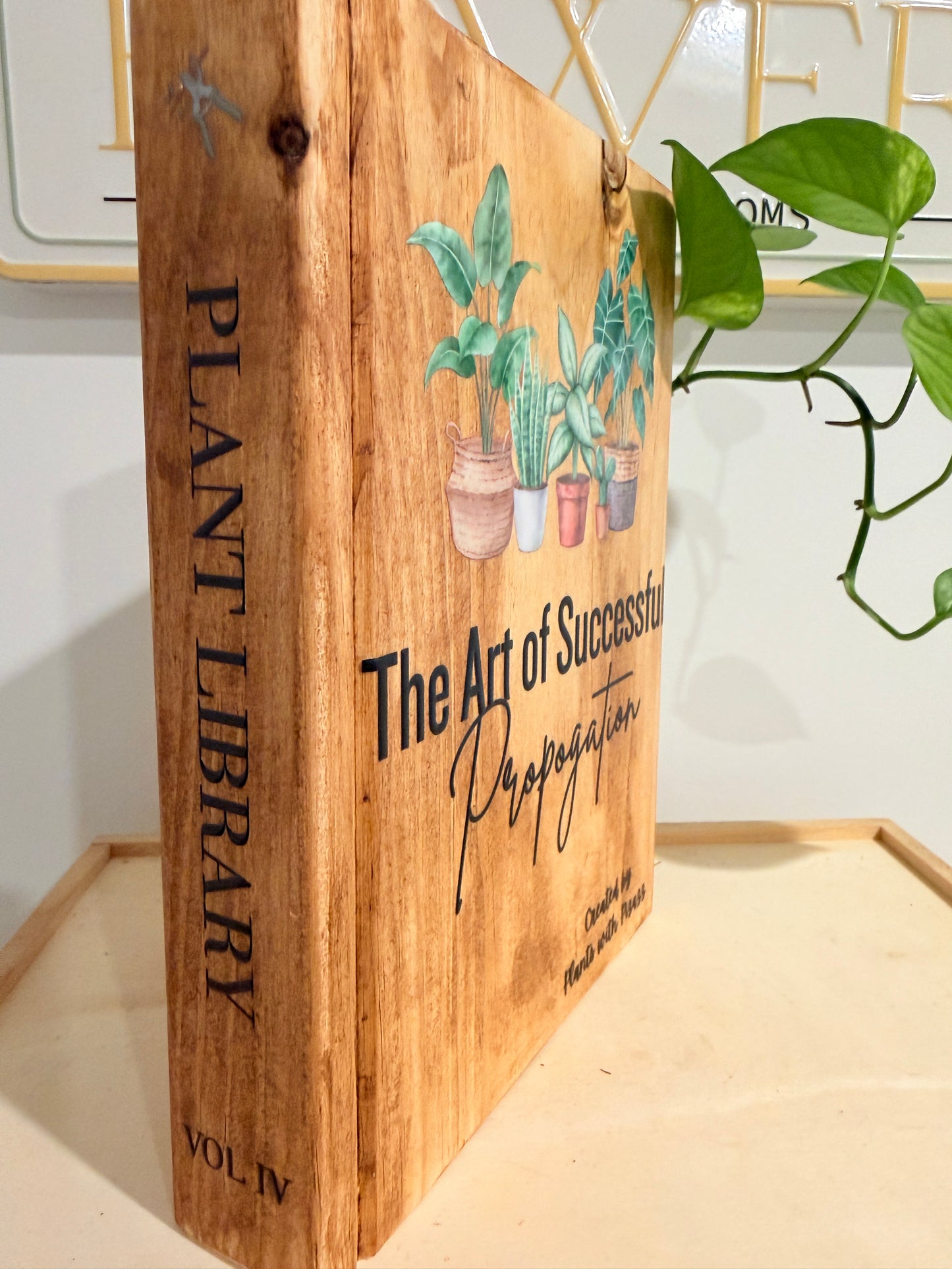 The Art Of Successful Propagation