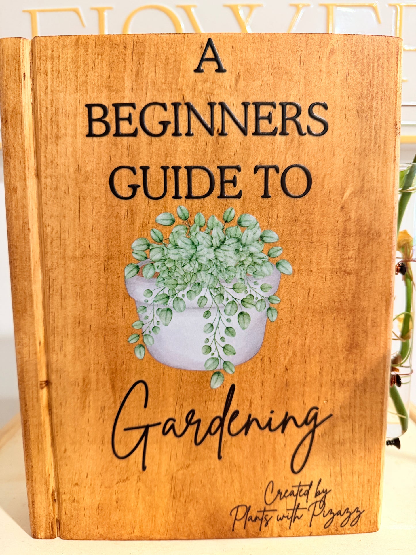 A Beginners Guide To Gardening