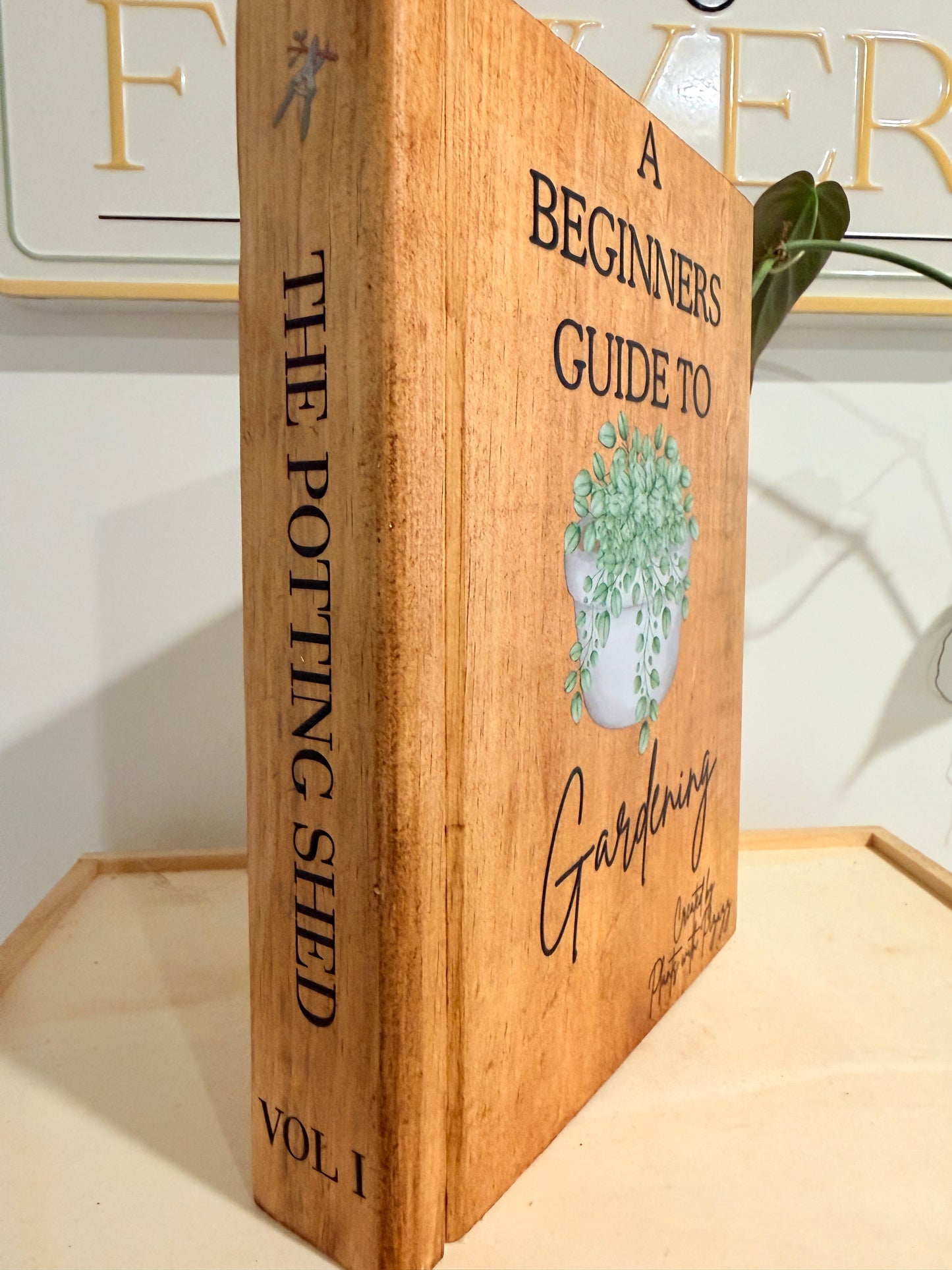 A Beginners Guide To Gardening