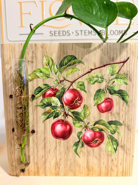 Apples