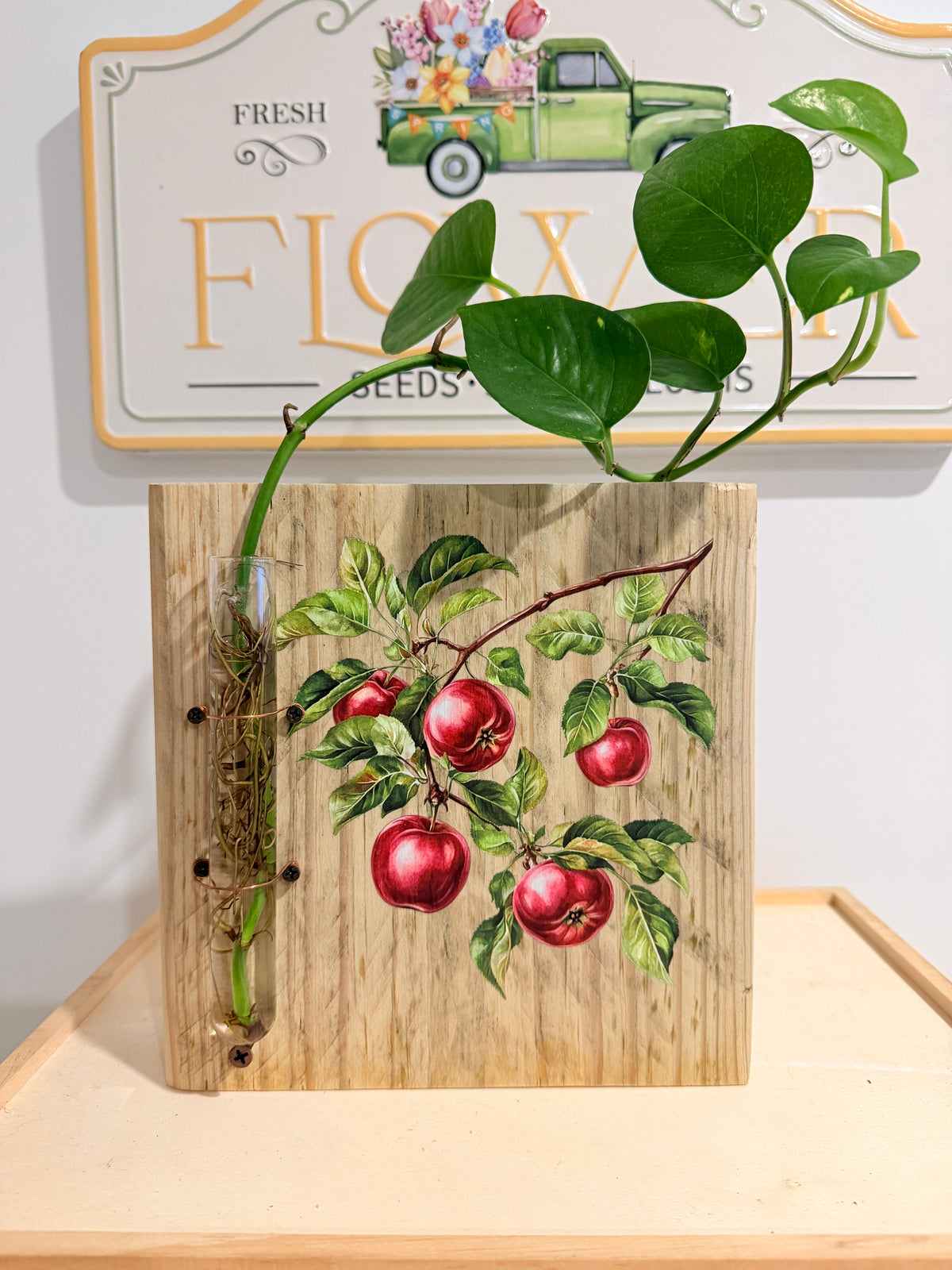 Apples