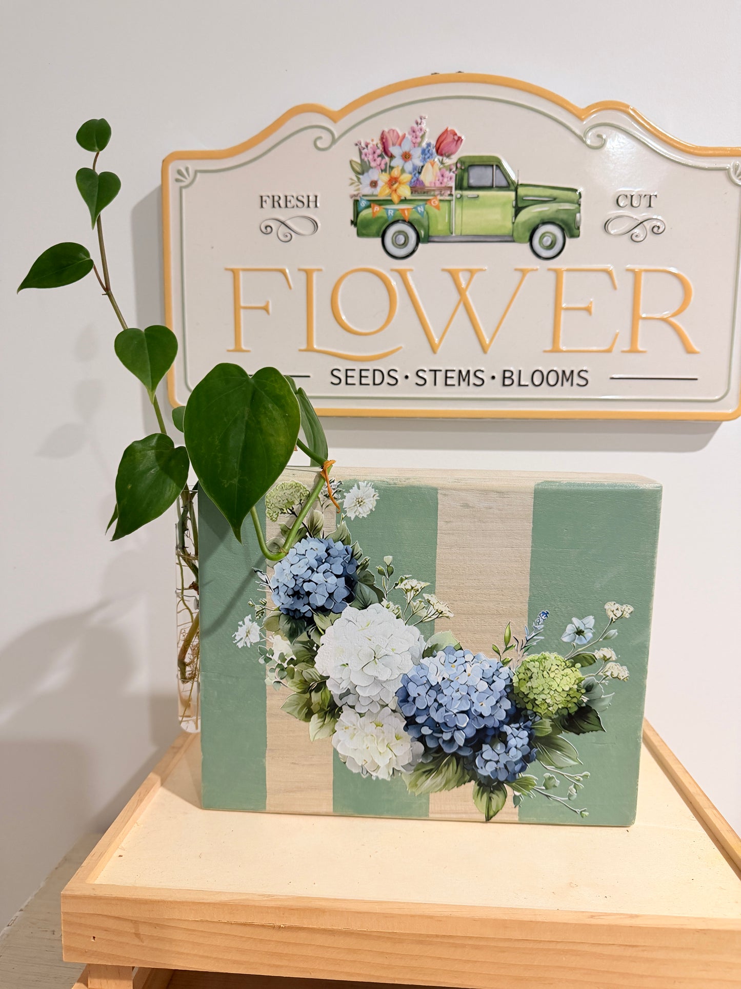 Bouquet of Hydrangeas