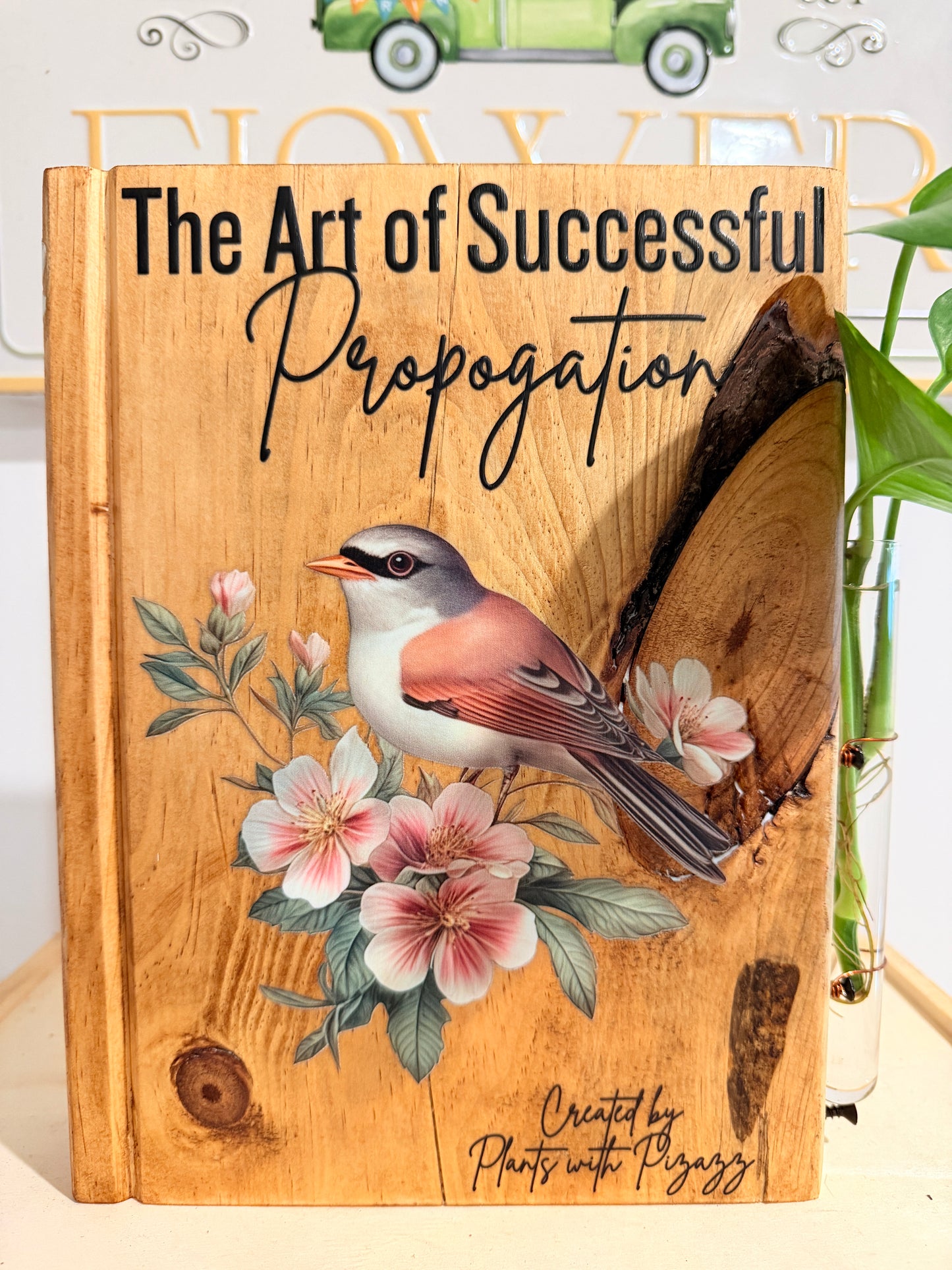 The Art of Successful Propagation