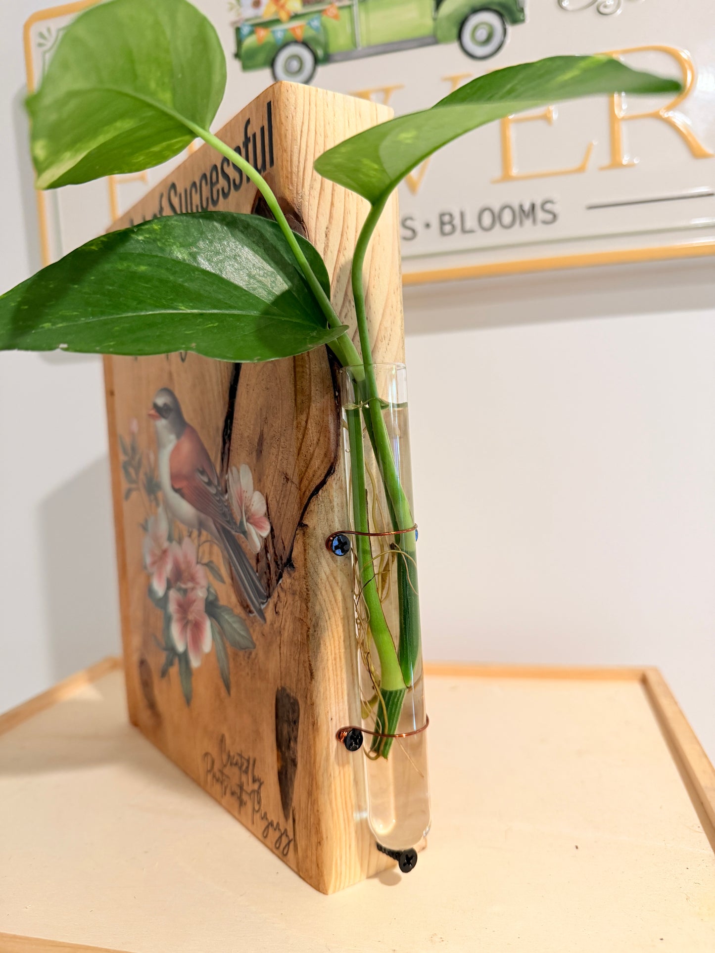 The Art of Successful Propagation